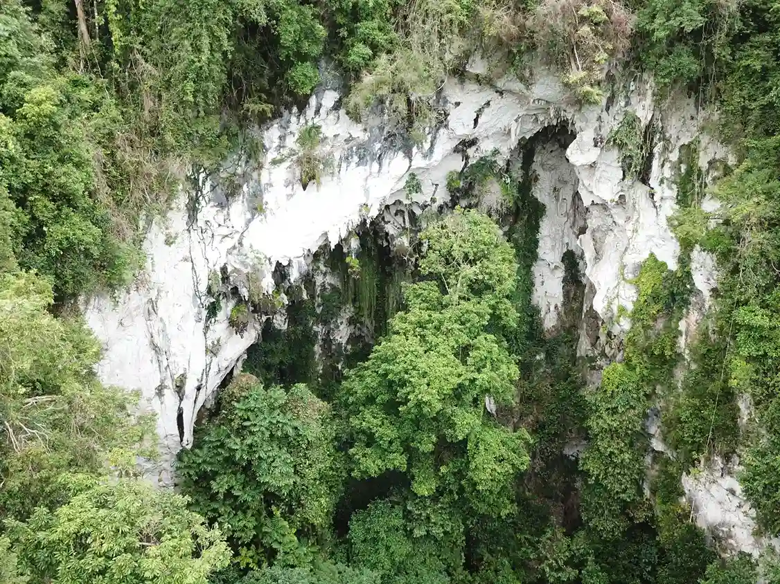 Selamatkan Wallacea: Industri Nikel Morowali Mengancam Kegagalan IBSAP, FOLU Net-Sink & Kunming–Montreal Global Biodiversity Framework